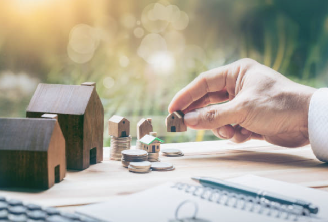 December 2024 Newsletter